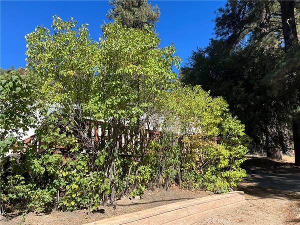 Angelus Oaks, CA 92305,39950 7 Oaks #41