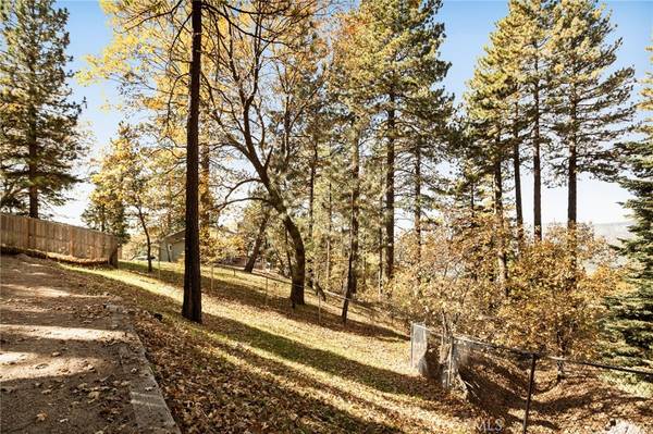 Running Springs, CA 92382,30556 Live Oak