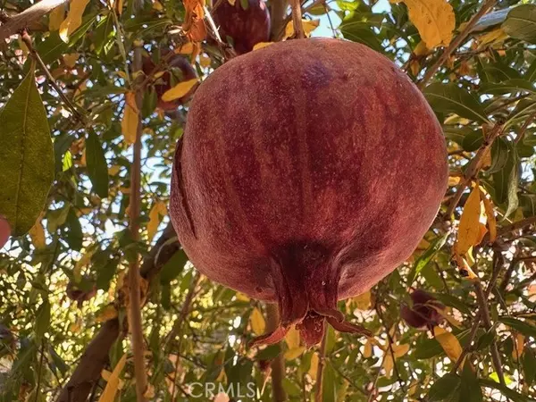 San Jacinto, CA 92582,913 S Grand AVE