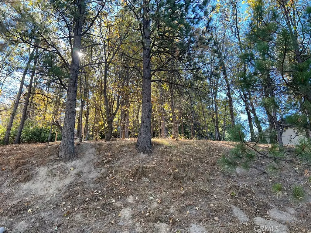 Running Springs, CA 92382,82 Pixie