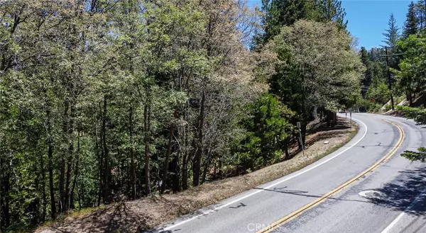 Lake Arrowhead, CA 92352,180 Grass Valley Rd. #5