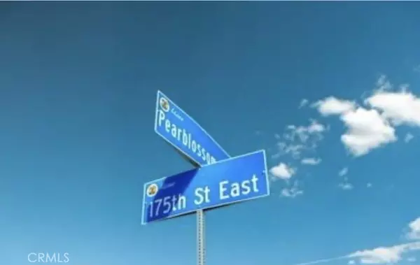 Palmdale, CA 93591,10 171st E