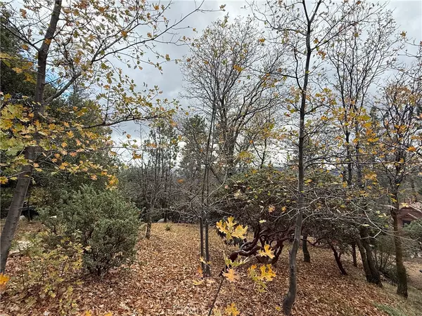 Lake Arrowhead, CA 92352,0 Yosemite DR