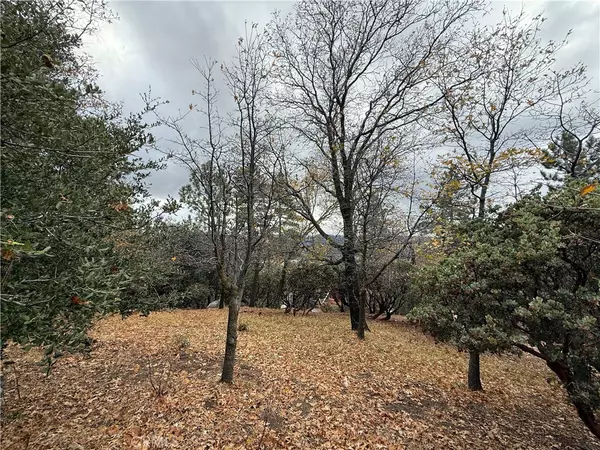 Lake Arrowhead, CA 92352,0 Yosemite DR