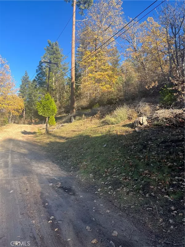 Cedar Glen, CA 92321,29834 Juniper DR