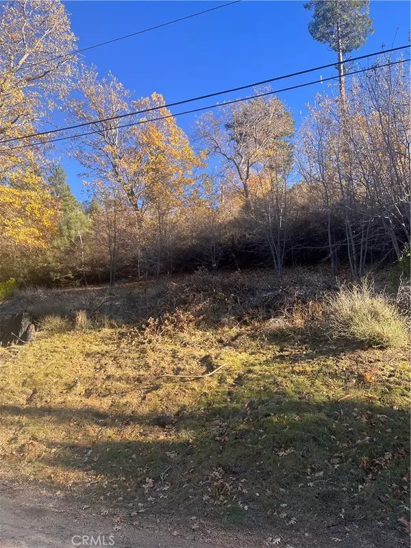 Cedar Glen, CA 92321,29834 Juniper DR