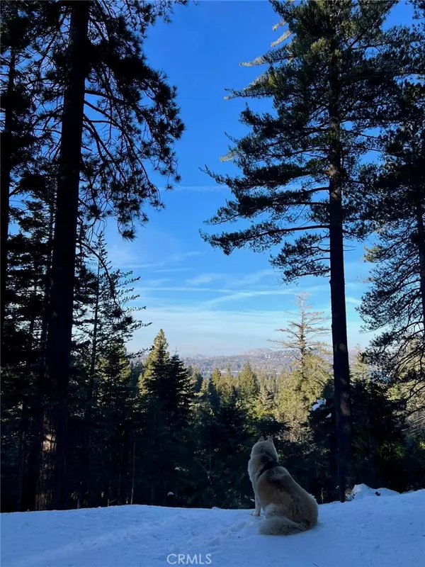 Lake Arrowhead, CA 92352,525 Ca-173