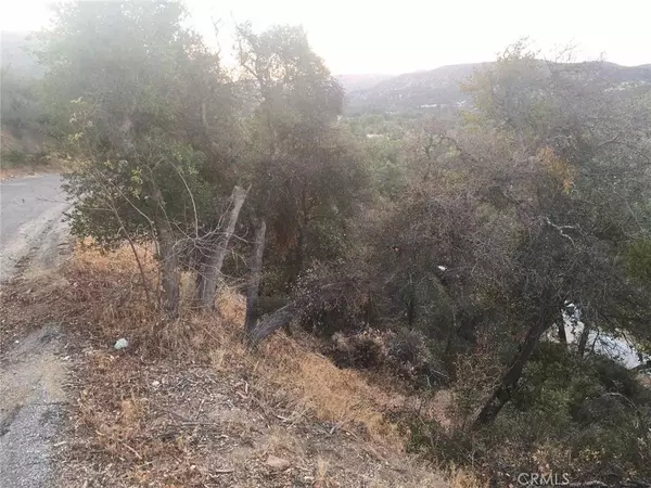 Lake Hughes, CA 93532,0 Vac/Austin Way/Vic Newview DR