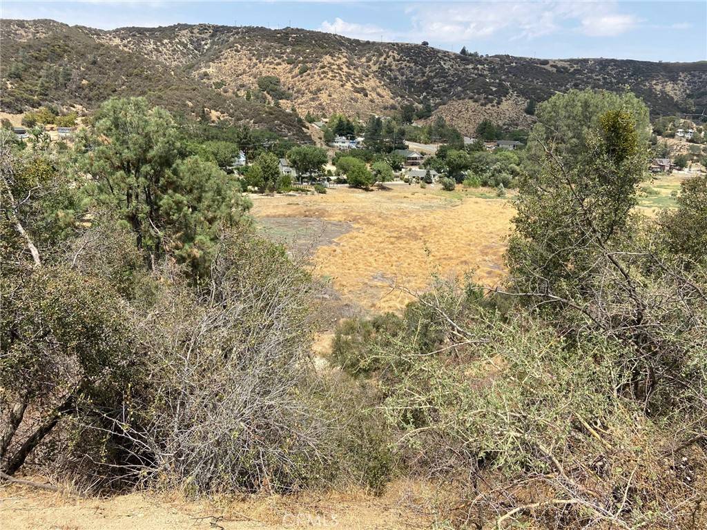 0 Vac/Austin Way/Vic Newview DR, Lake Hughes, CA 93532