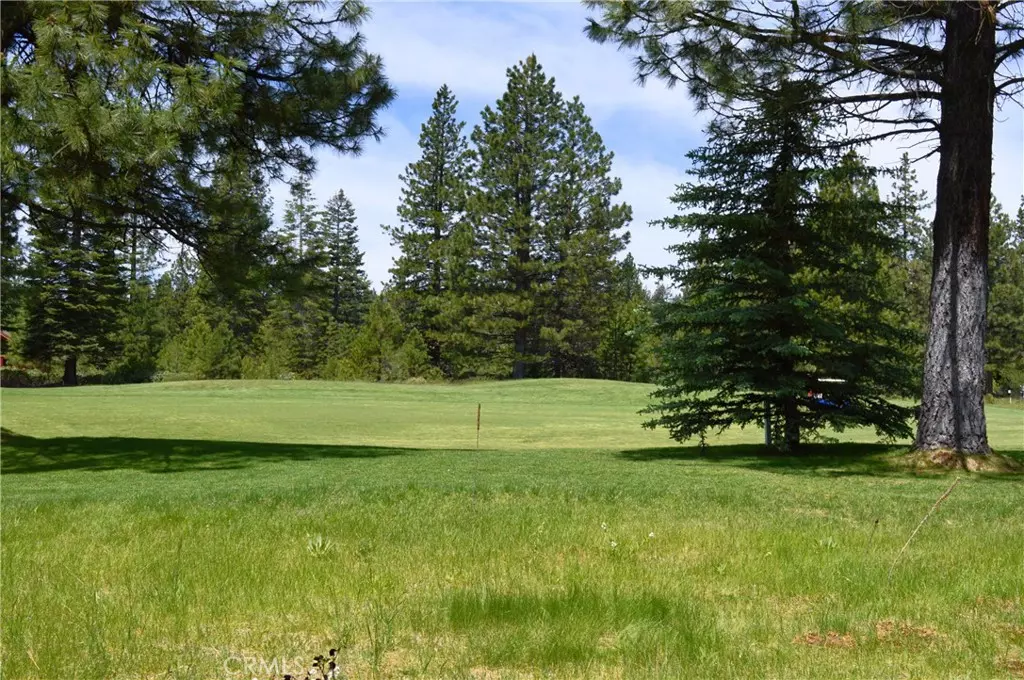 Lake Almanor, CA 96137,329 Flint WAY