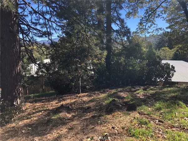 Cedar Glen, CA 92321,29151 Lyon DR