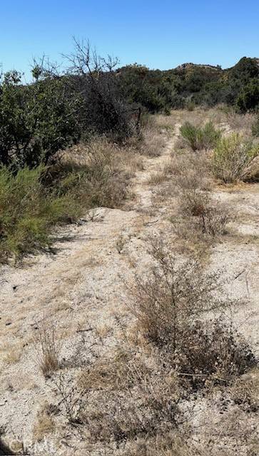 Anza, CA 92539,1 Old Forest