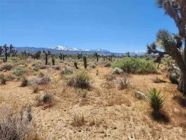 Llano, CA 93544,0 Ave X6 212 ST
