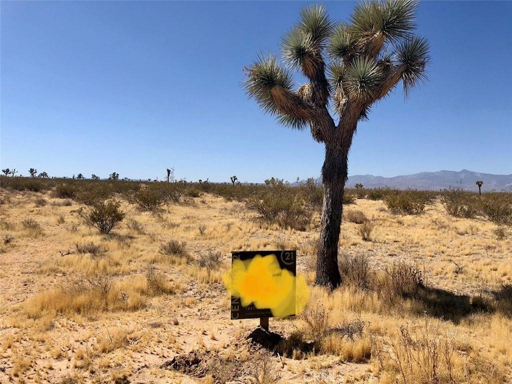Adelanto, CA 92301,0 Holly RD