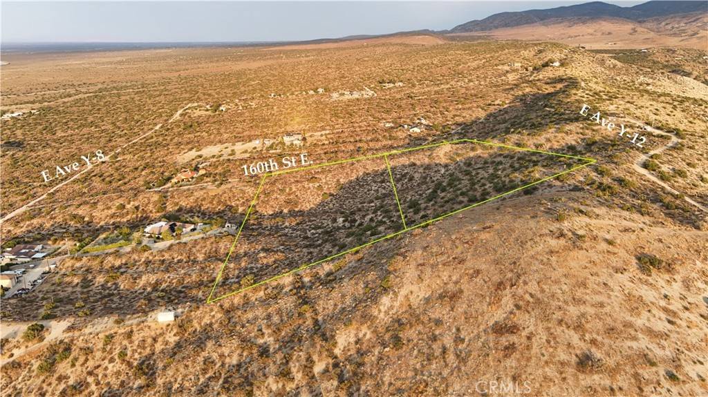 0 160th ST E, Llano, CA 93544