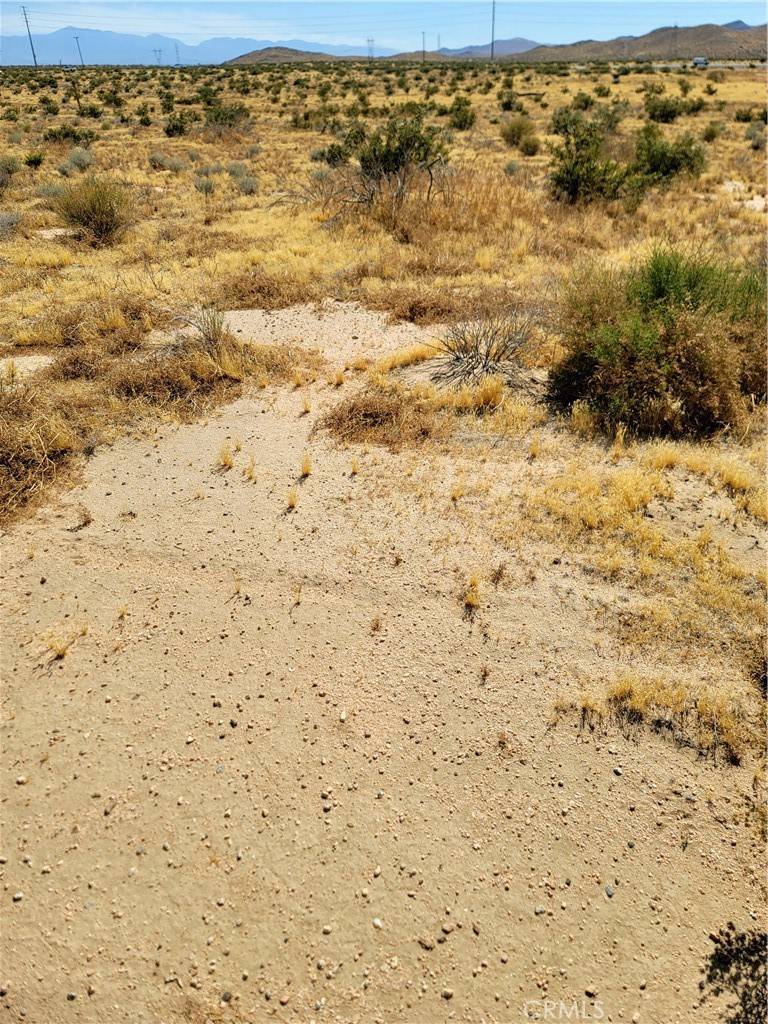 Adelanto, CA 92301,0 Blazing Star RD