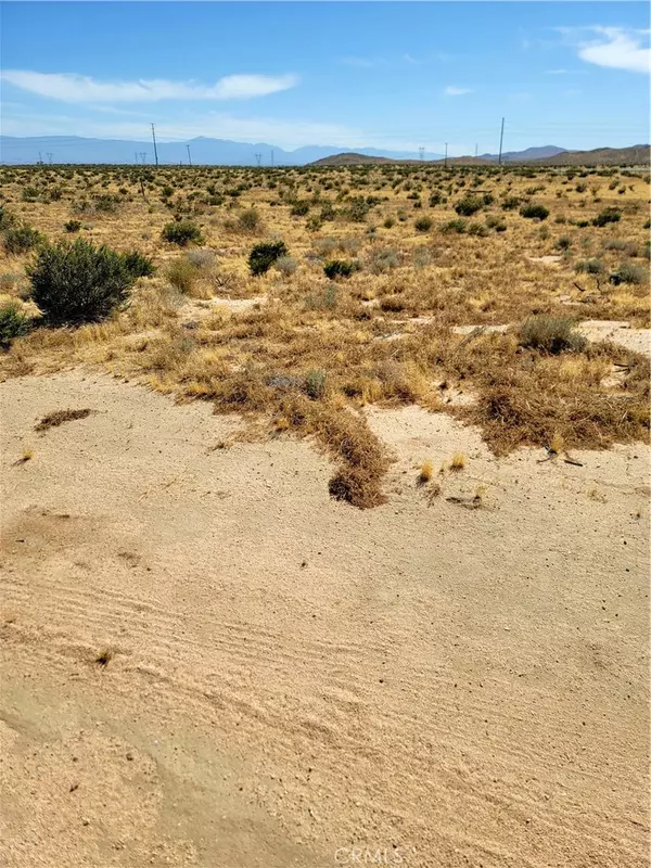 Adelanto, CA 92301,0 Blazing Star RD