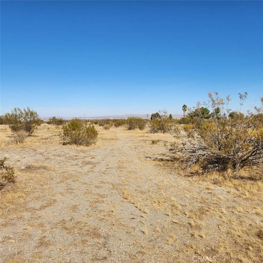 0 Beekley RD, Pinon Hills, CA 92372
