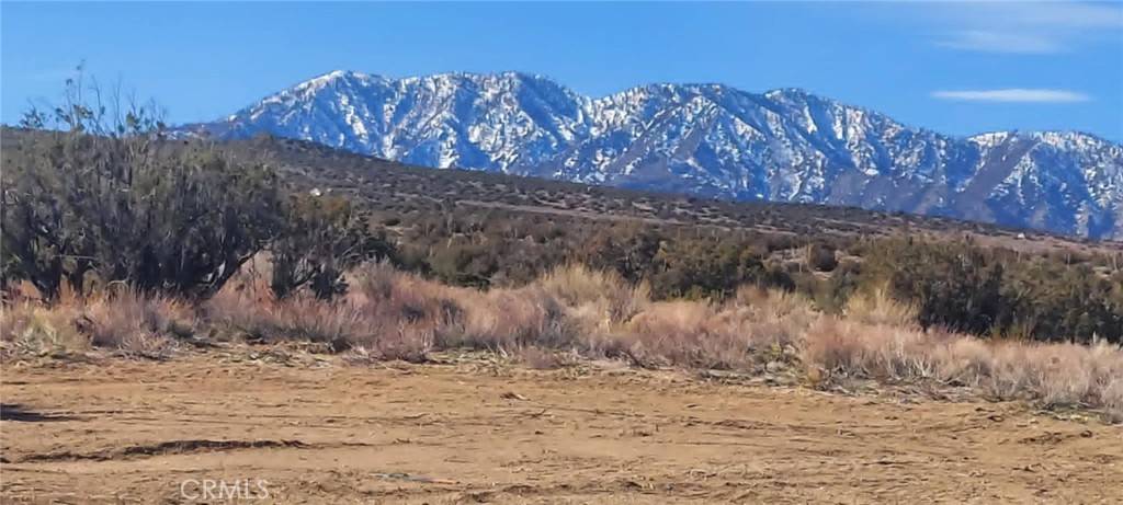 0 Avenue Y, Llano, CA 93544