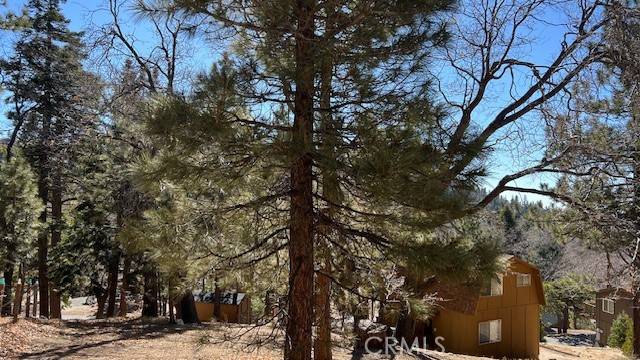 Green Valley Lake, CA 92341,0 Piedras Grande