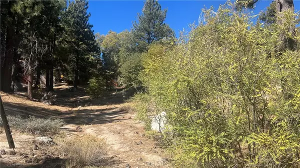 Green Valley Lake, CA 92341,33275 Iris DR