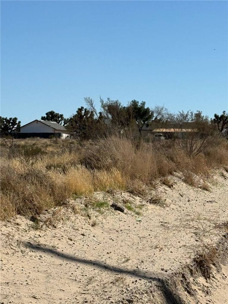 house_img