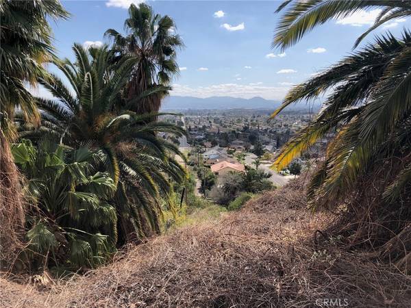 San Bernardino, CA 92404,0 Quail CT
