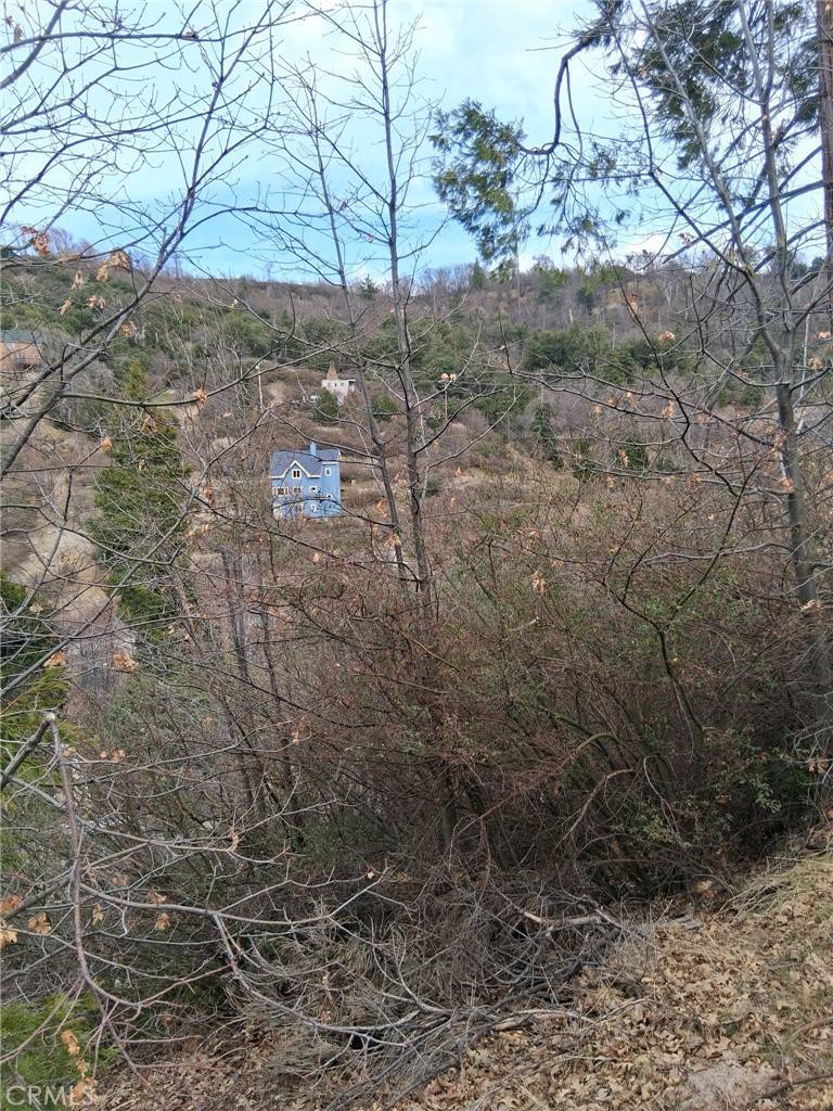 Cedar Glen, CA 92321,0 Pine DR
