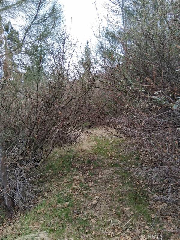 Cedar Glen, CA 92321,0 Pine DR