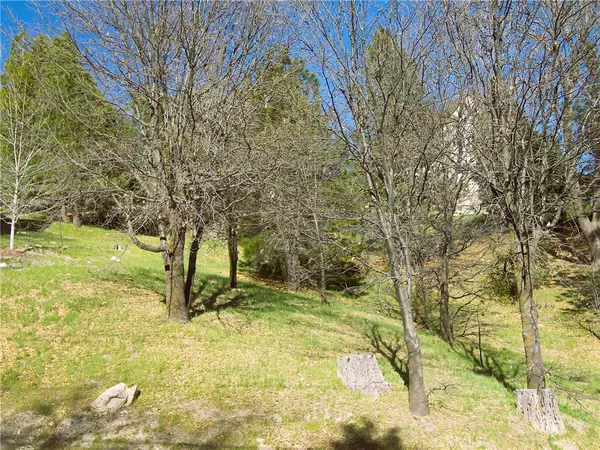 Lake Arrowhead, CA 92352,0 St Bernard LN