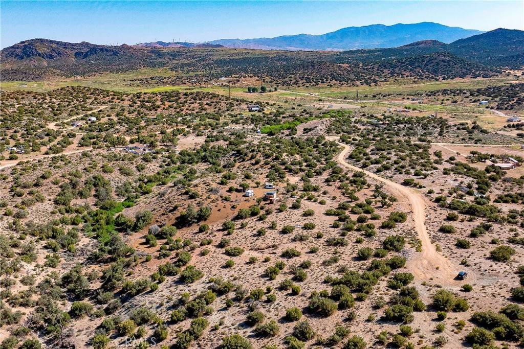 Tehachapi, CA 93561,26000 Arabian PL