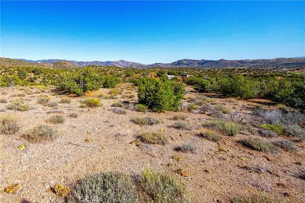 Tehachapi, CA 93561,26000 Arabian PL