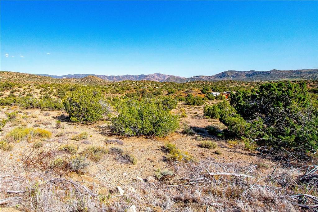Tehachapi, CA 93561,26000 Arabian PL