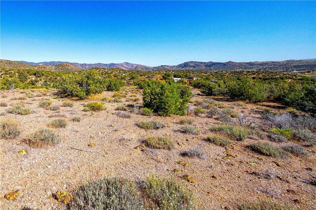 Tehachapi, CA 93561,26000 Arabian PL