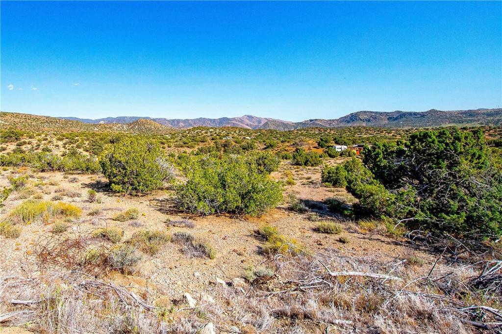 Tehachapi, CA 93561,26000 Arabian PL