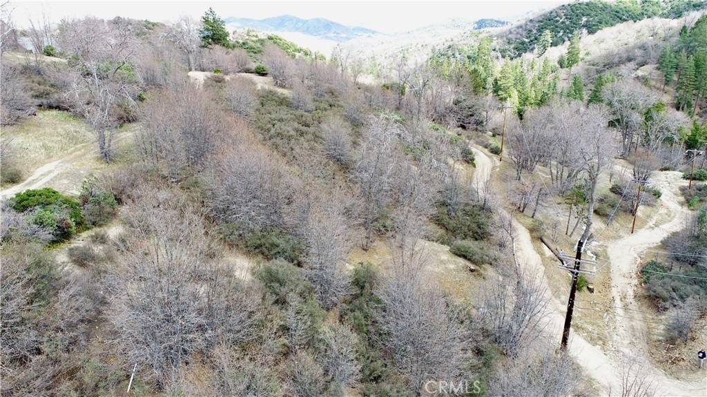 Cedar Glen, CA 92321,0 walnut