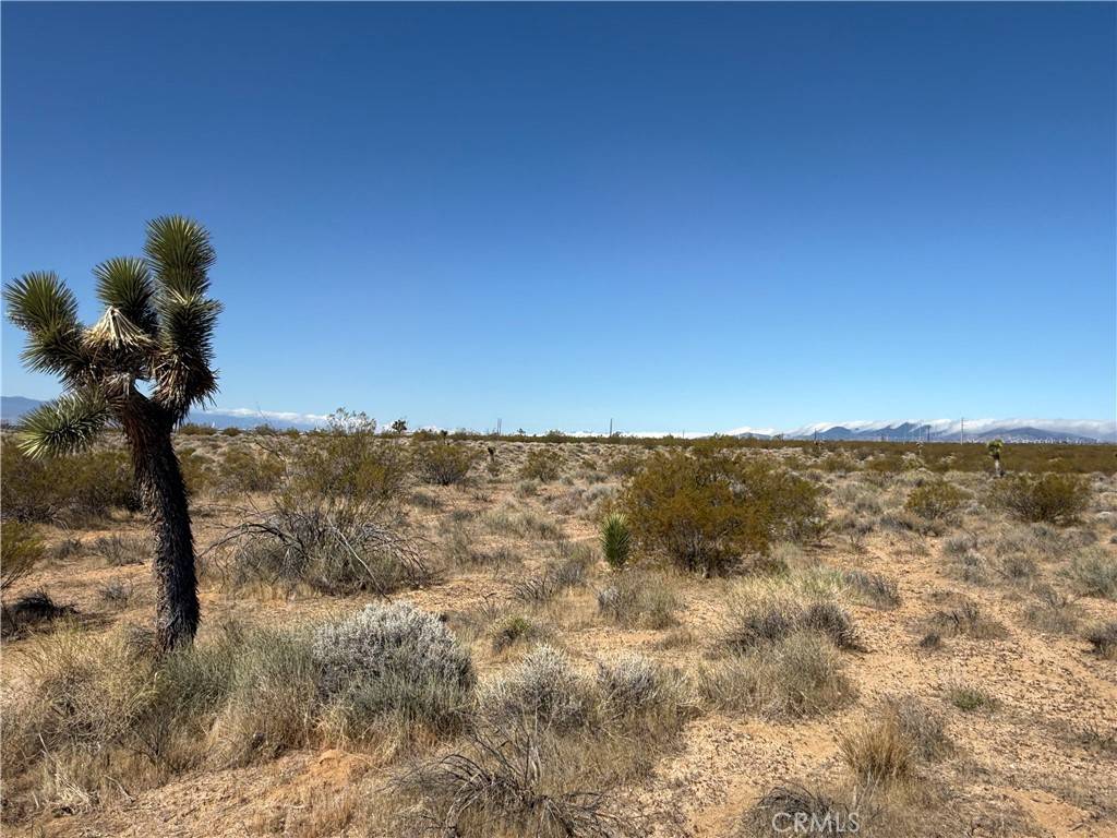 Rosamond, CA 93560,125 125th