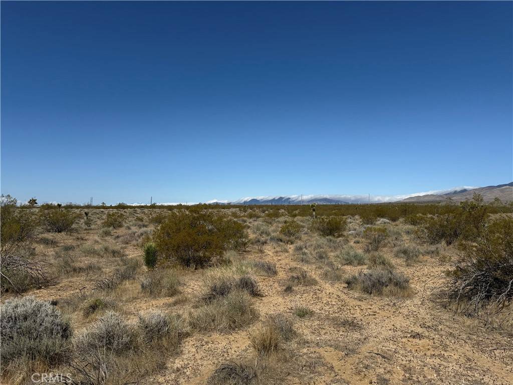 Rosamond, CA 93560,125 125th
