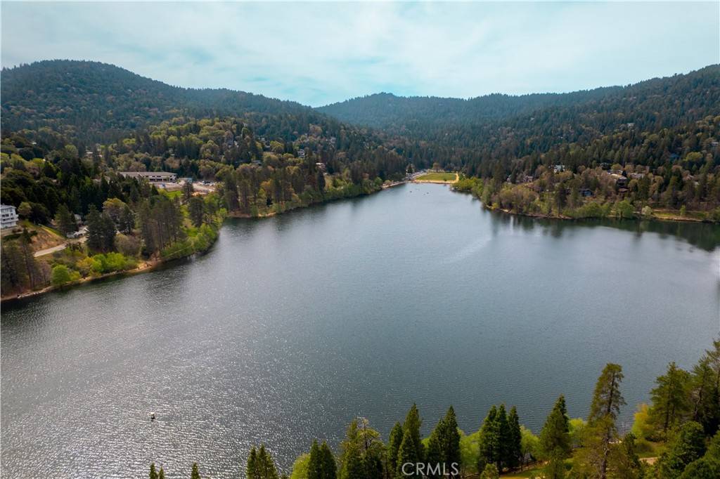 Crestline, CA 92325,356 Wylerhorn DR