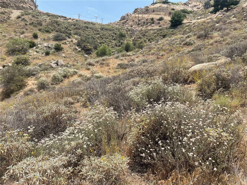 Moreno Valley, CA 92557,0 Sage