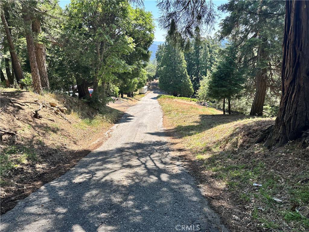 Cedarpines Park, CA 92322,0 Bone DR