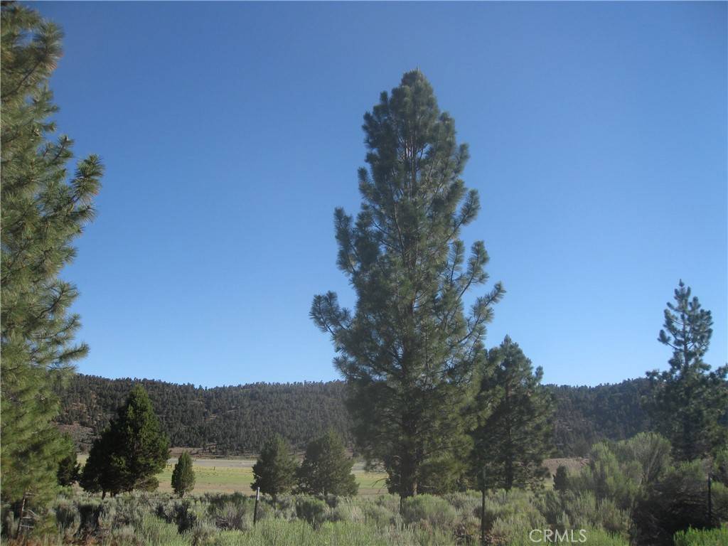 2805 Cedar LN, Big Bear City, CA 92314