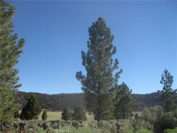 2805 Cedar LN, Big Bear City, CA 92314