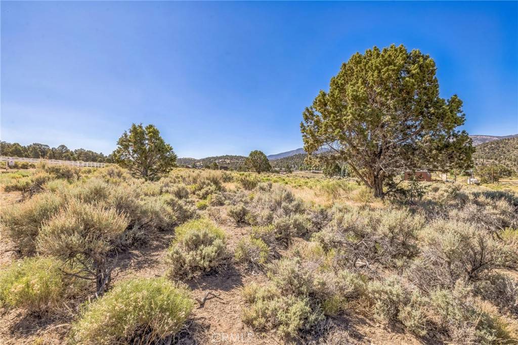 Big Bear City, CA 92314,0 Wilson Benito