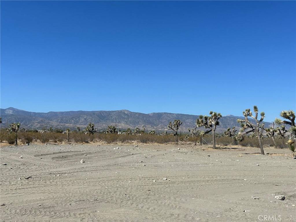 Pinon Hills, CA 92372,11656 Gitano RD