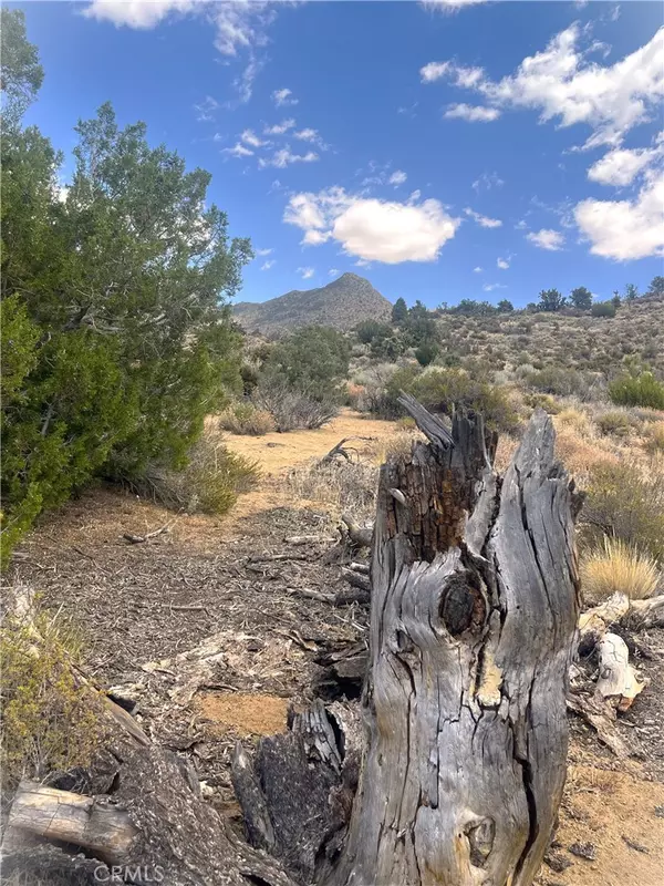 Onyx, CA 93255,0 Pine Hollow Rd