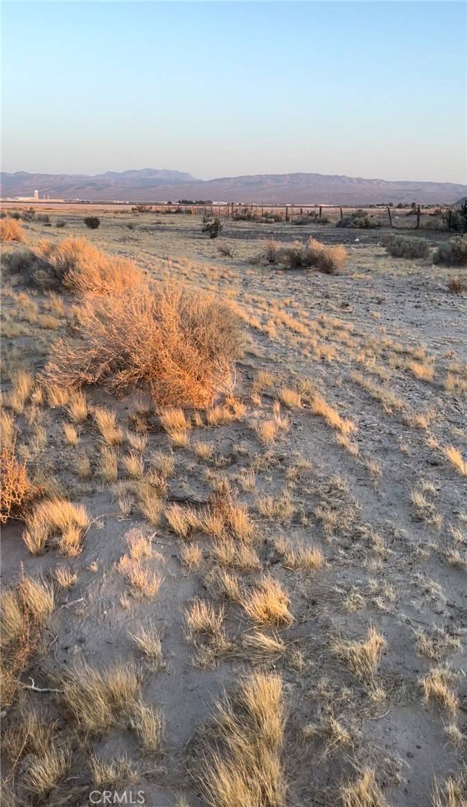 Newberry Springs, CA 92365,0 Chloride RD