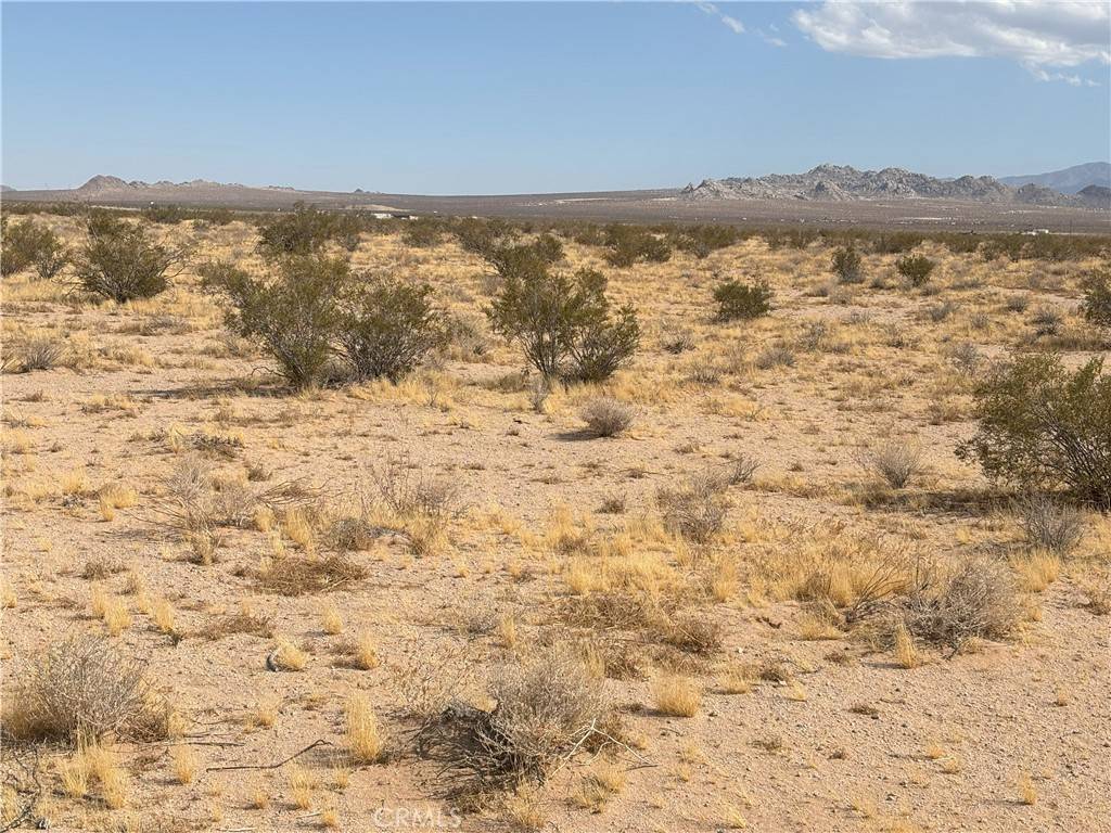 0 Saxon RD, Lucerne Valley, CA 92356