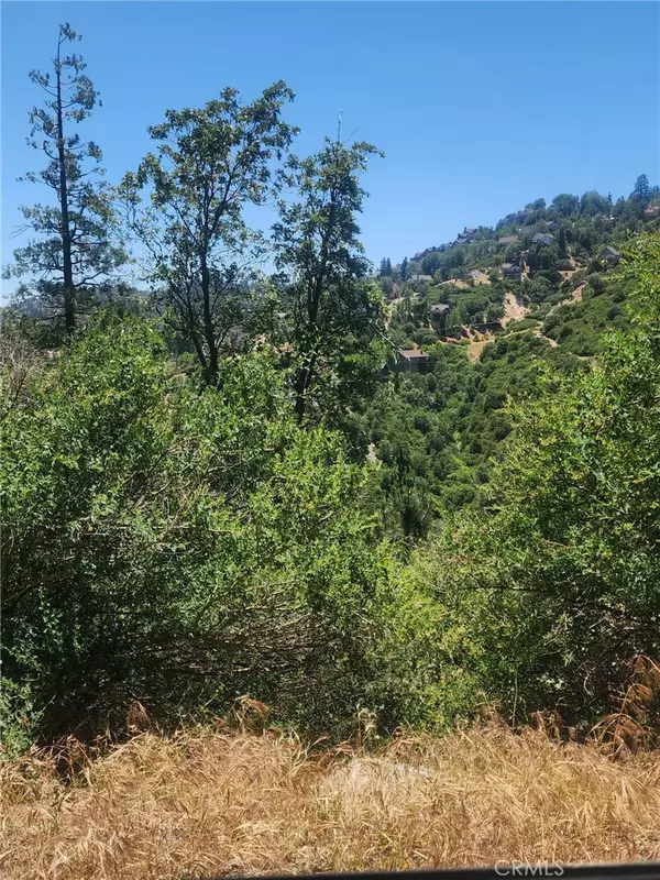 Lake Arrowhead, CA 92352,0 Brentwood DR