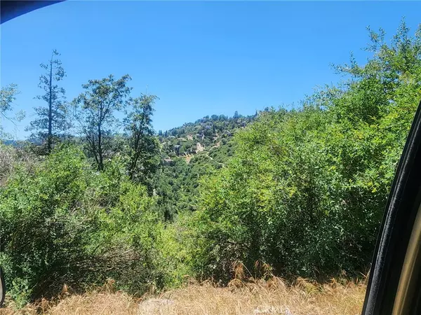Lake Arrowhead, CA 92352,0 Brentwood DR